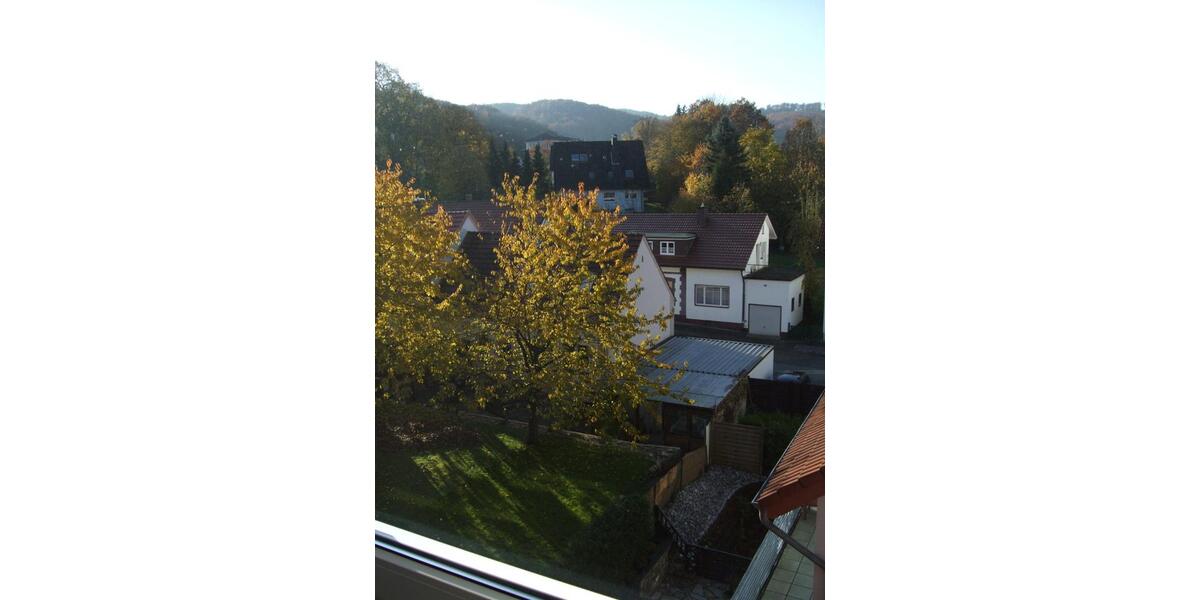 Schöne 2-Zimmer-Wohnung in Bad Driburg 2 zimmer