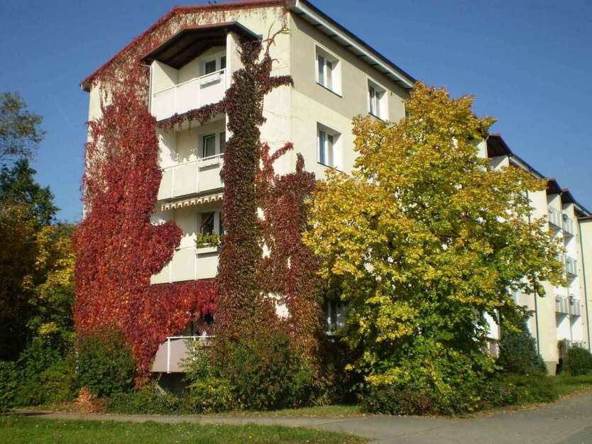Wohnung zum Mieten in Hoyerswerda 170 € 28.29 m² 1 zimmer
