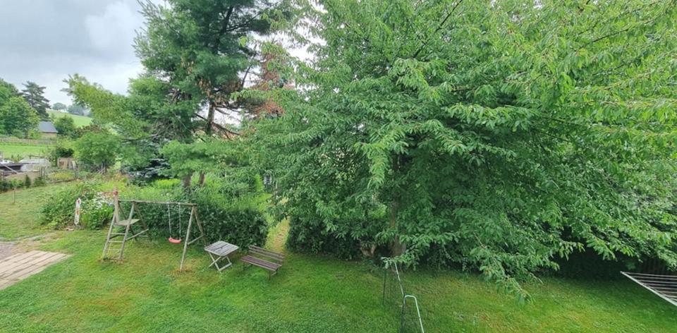 !! Attraktiv neu hergerichtete 3 Zi. Whg. mit Fernblick in Geringswalde bei Colditz Döbeln mit mögl. Gartenanteil und Glasfaseranschluss !!