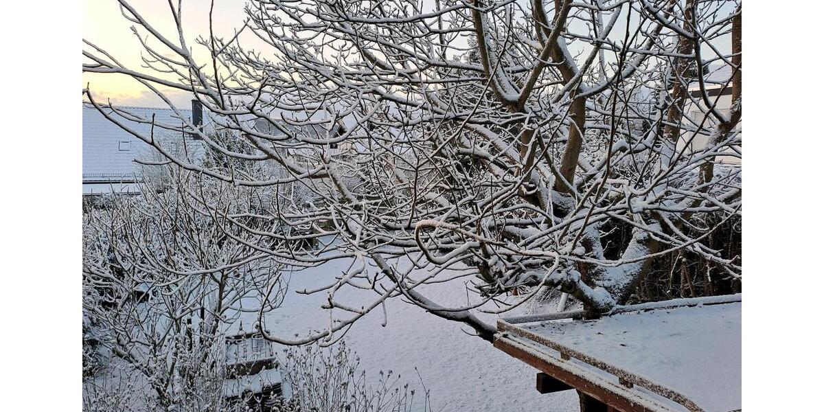 Zimmer frei in netter Haus-WG Ü40 1 zimmer