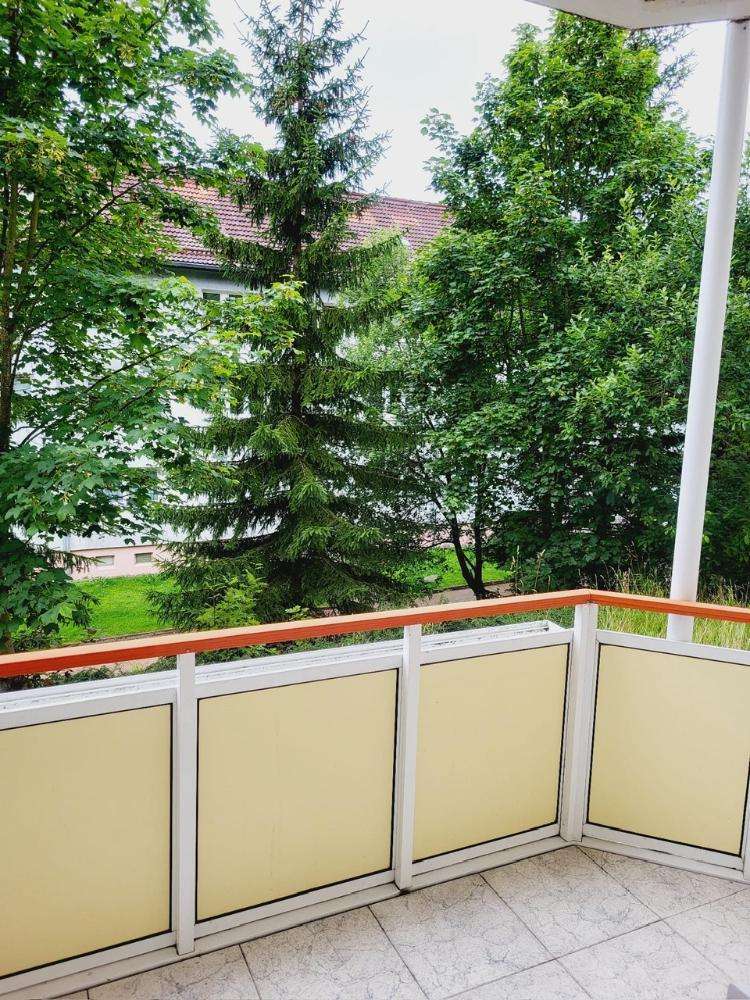 Wunderschöne, helle Erdgeschoßwohnung direkt am Nationalpark 3 zimmer