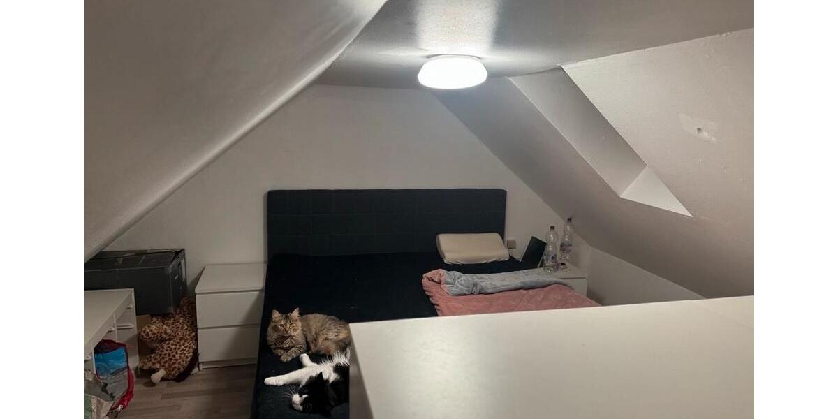 Dachgeschoßwohnung Kirchardt - 2 Zimmer, 42 m&sup2;, 660&euro; | Angebot:24295254