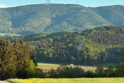 Praktisch gelegene, in alle Richtungen gut angebundene 2,5 Zi zimmer