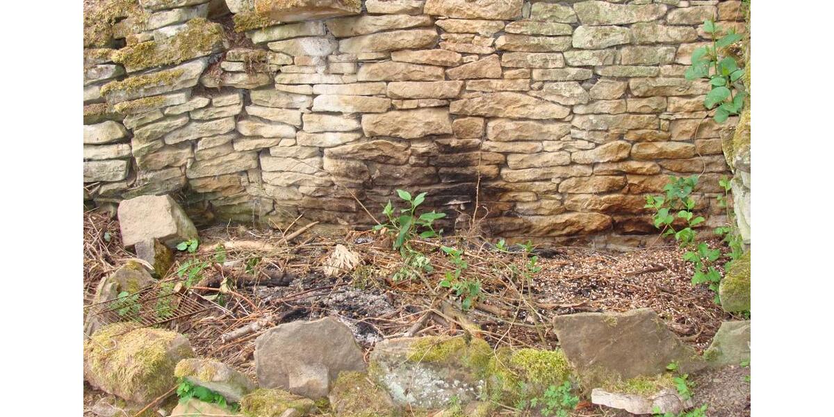 Wohnen auf Zeit Rehborn - 1 Zimmer, 50 m&sup2;, 200&euro; | Angebot:21459765