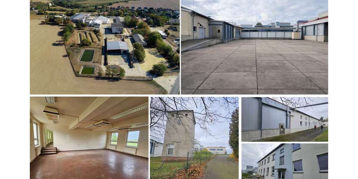 Gewerbeobjekt Grimma - 1.750&euro; | Angebot:26390058