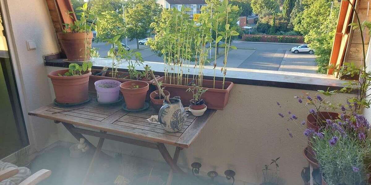Etagenwohnung Bernau - 2 Zimmer, 70 m&sup2;, 900&euro; | Angebot:27069087