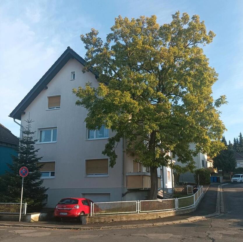 WG-Mitbewohnerin zimmer