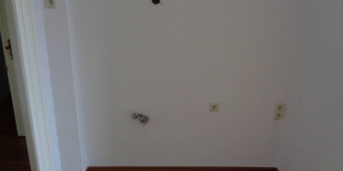 Etagenwohnung Plauen Haselbrunn - 3 Zimmer, 75 m&sup2;, 300&euro; | Angebot:26750925