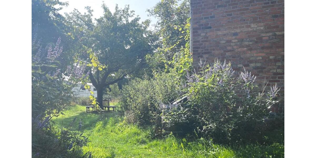 Wohnen auf Zeit Rheinsberg - 1 Zimmer, 20 m&sup2;, 600&euro; | Angebot:22860765