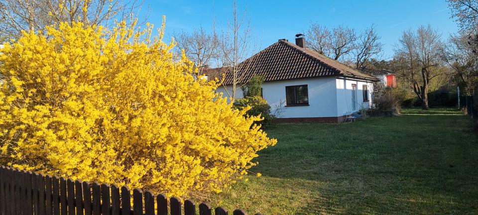 Wohnen auf Zeit Memmelsdorf - 3.5 Zimmer, 100 m&sup2;, 1.200&euro; | Angebot:26689938