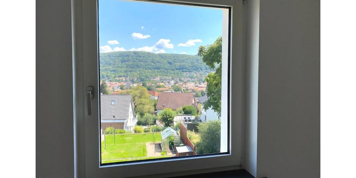 großzügige renovierte 1,5 Zi. Whg in Ebermannstadt zu vermieten 1 zimmer