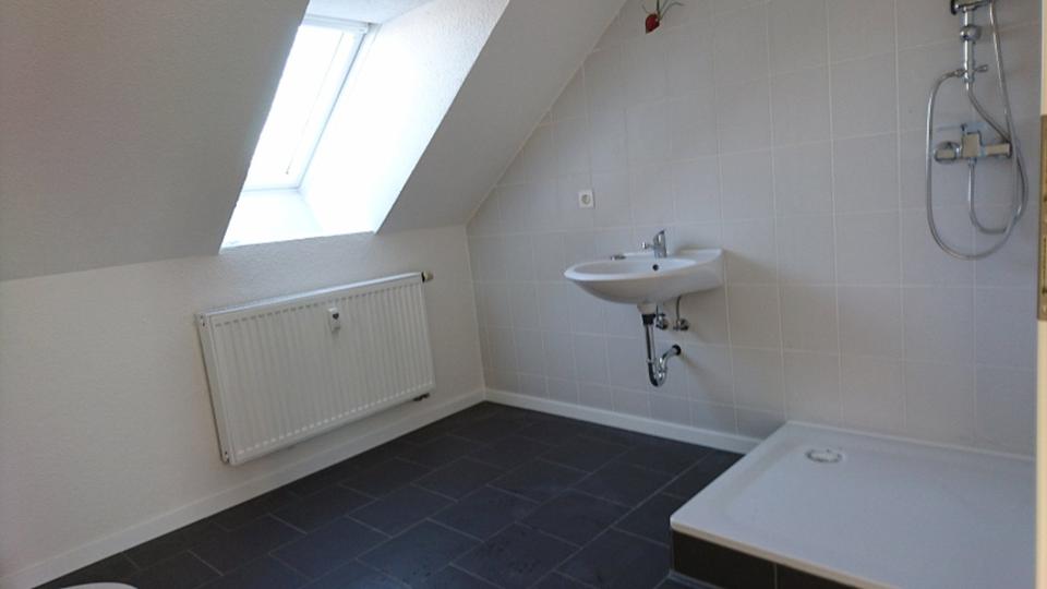 Dachgeschoßwohnung Riesa - 1 Zimmer, 36 m&sup2;, 250&euro; | Angebot:24786390