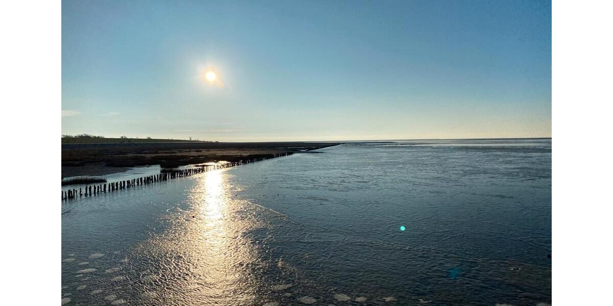 Doppelhaushälfte Friedrichskoog - 3 Zimmer, 65 m&sup2;, 900&euro; | Angebot:26036434