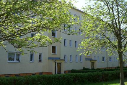 Wohnung Limbach-Oberfrohna Oberfrohna - 2 Zimmer, 51 m&sup2;, 290&euro; | Angebot:25096452