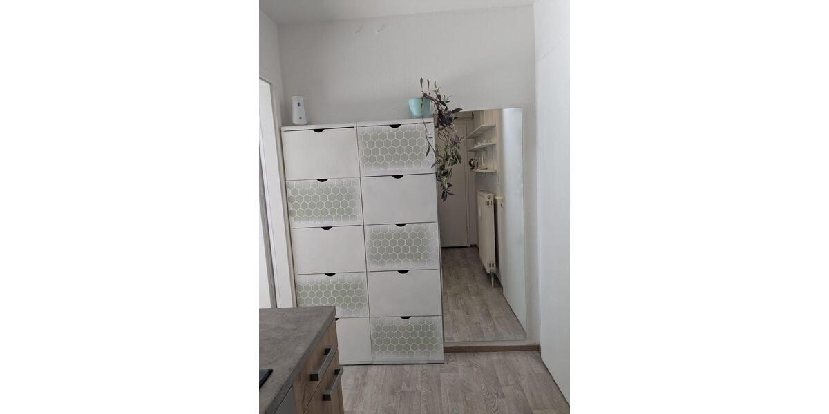 Wohnen auf Zeit Heidelberg Pfaffengrund - 1 Zimmer, 34 m&sup2;, 1.200&euro; | Angebot:22649222
