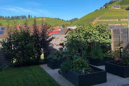 Einliegerwohnung in Durbach zu mieten 1 zimmer