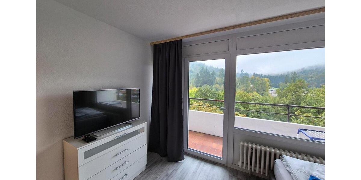 Wohnen auf Zeit Achern - 2 Zimmer, 59 m&sup2;, 20&euro; | Angebot:24669482