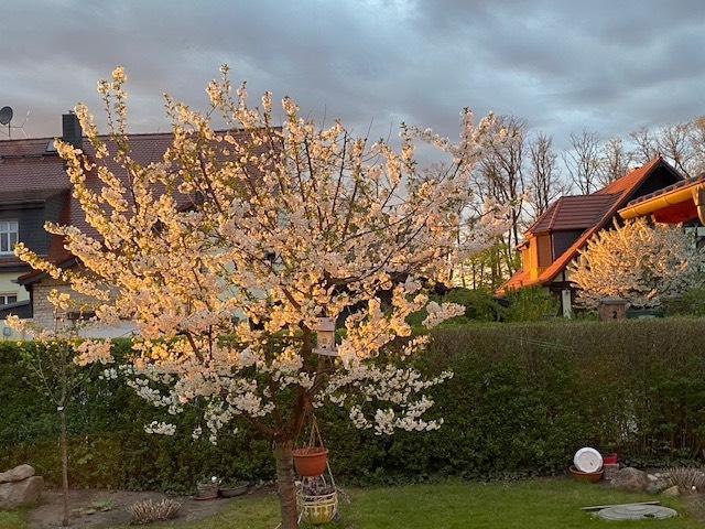 Einfamilienhaus Eberswalde - 4 Zimmer, 100 m&sup2;, 1.300&euro; | Angebot:25367803