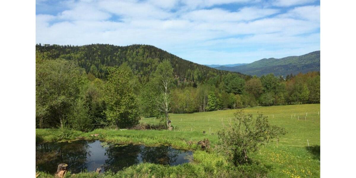 Etagenwohnung Arrach - 3.5 Zimmer, 450&euro; | Angebot:11047614