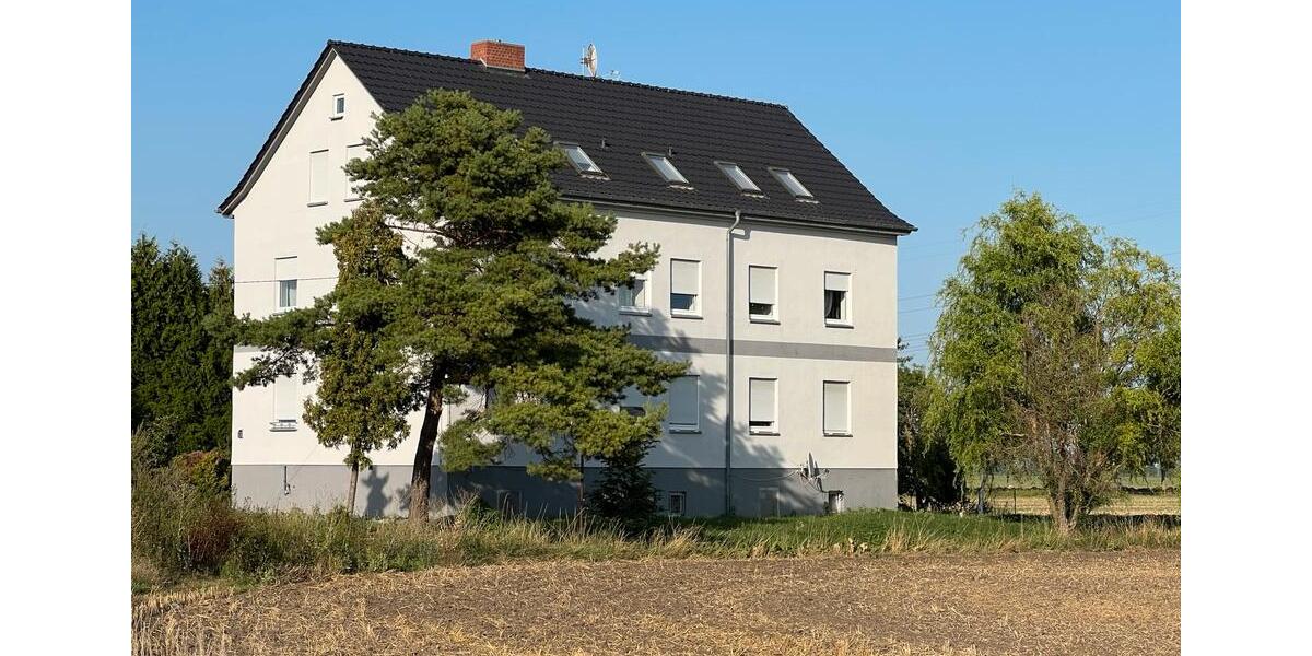 3 x GästehausPensionBoardinghaus in Magdeburg zu verpachten 48 zimmer