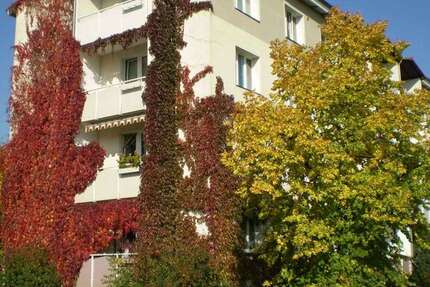 Wohnung Hoyerswerda Neustadt - 1 Zimmer, 28 m&sup2;, 170&euro; | Angebot:26674271