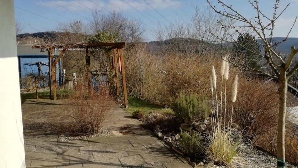 Etagenwohnung Siegen Eiserfeld - 2 Zimmer, 88 m&sup2;, 695&euro; | Angebot:24890877