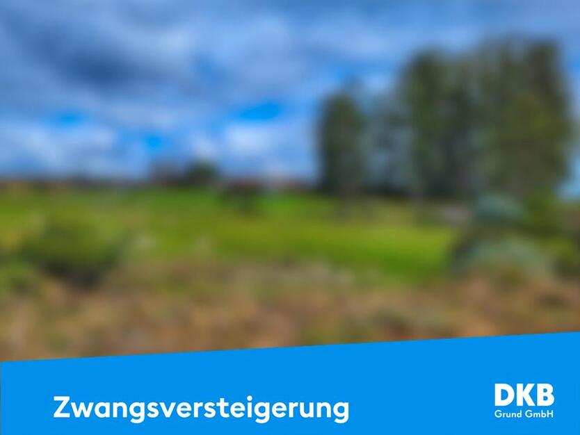 Agrarland in der Zwangsversteigerung