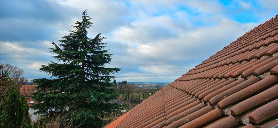 Dachgeschoßwohnung Hirschberg an der Bergstraße - 2 Zimmer, 54 m&sup2;, 750&euro; | Angebot:26547351