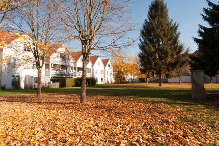 Wohnung Northeim - 2 Zimmer, 54 m&sup2;, 431&euro; | Angebot:25963333