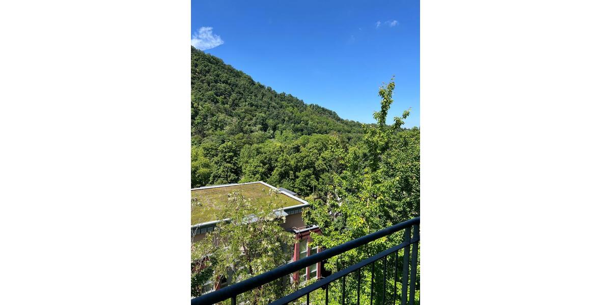 Etagenwohnung Bad Kreuznach Bad Münster am Stein-Ebernburg - 1 Zimmer, 31 m&sup2;, 520&euro; | Angebot:26714946