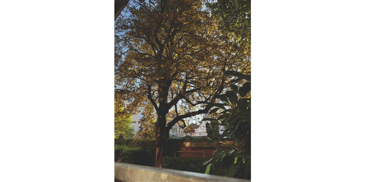 Willkommen im Apartment „Toni 55-3