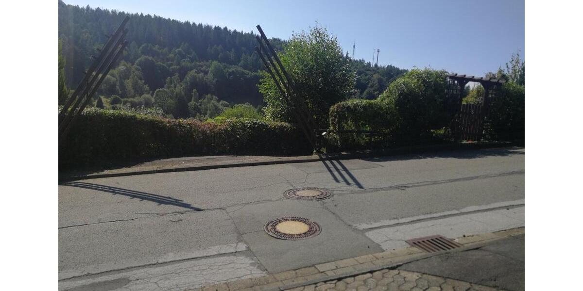 Harz Ferienhaus Blockhaus 6 Pers +Hund 2 Kamine gr Grundst. süd H 4 zimmer