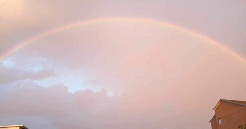 Einfamilienhaus Nörten-Hardenberg Hardenberg - 4 Zimmer, 100 m&sup2;, 1.210&euro; | Angebot:22929041