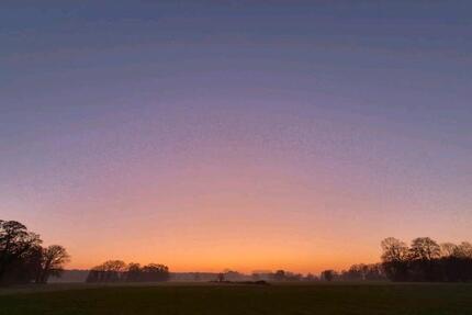 Zimmer in LandWG in Halle Hörste ab April frei 5 zimmer