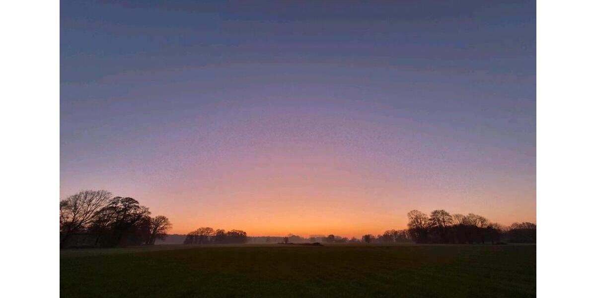 Zimmer in LandWG in Halle Hörste ab April frei 5 zimmer