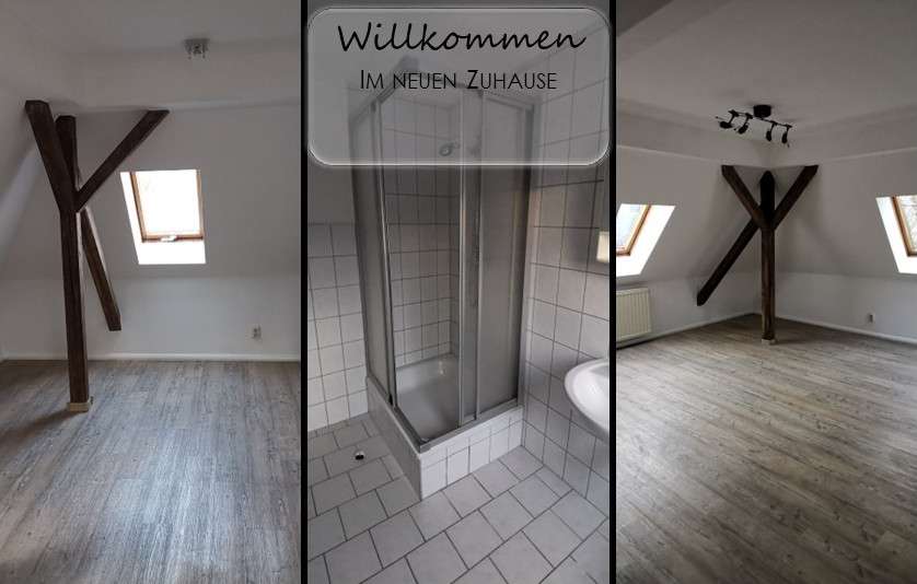 Etagenwohnung Plauen Ostvorstadt - 1 Zimmer, 37 m&sup2;, 215&euro; | Angebot:27067616