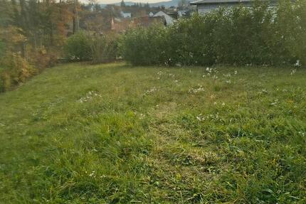 Wohnung in Burgkunstadt ruhige Lage Erdgeschoss mit Garten 2 zimmer