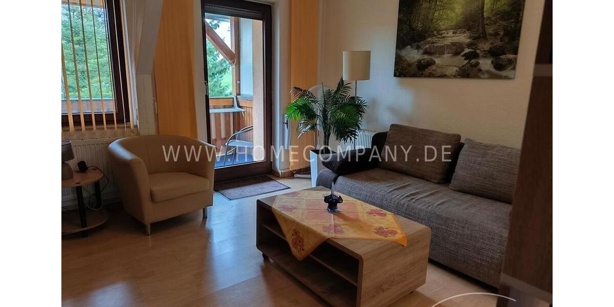 Wohnen auf Zeit Markkleeberg - 1 Zimmer, 40 m&sup2;, 800&euro; | Angebot:26168814