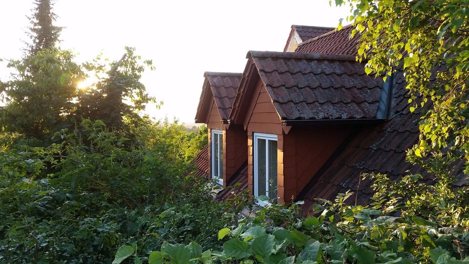 Erdgeschoßwohnung Coburg - 1 Zimmer, 35 m&sup2;, 320&euro; | Angebot:26006518