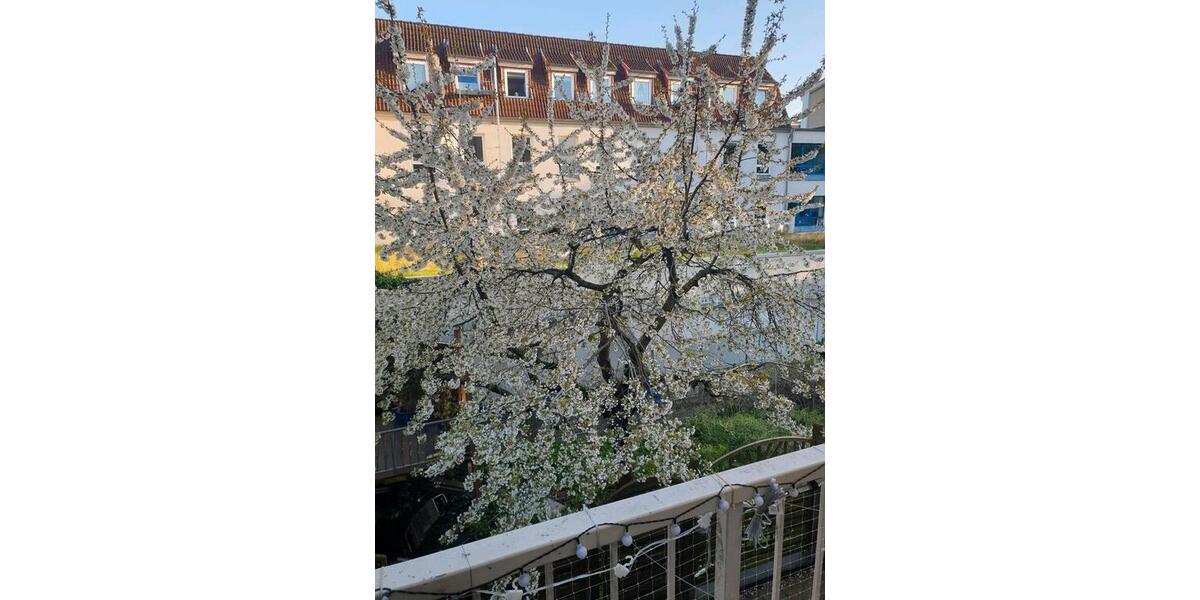 Maisonettenwohnung Rostock - 3 Zimmer, 110 m&sup2;, 1.504&euro; | Angebot:25161056