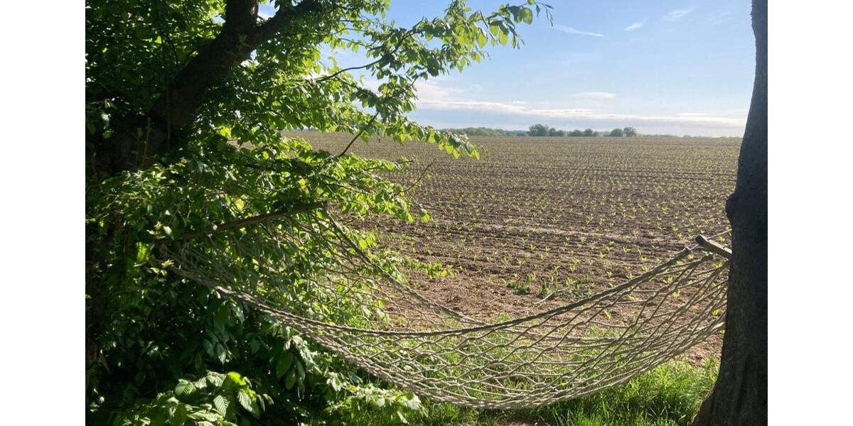 Charmantes, großzügiges Haus in der östlichen Lüneburger Heide 6 zimmer