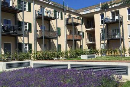 Wohnung Augsburg Lechhausen - 3 Zimmer, 74 m&sup2;, 960&euro; | Angebot:27455644