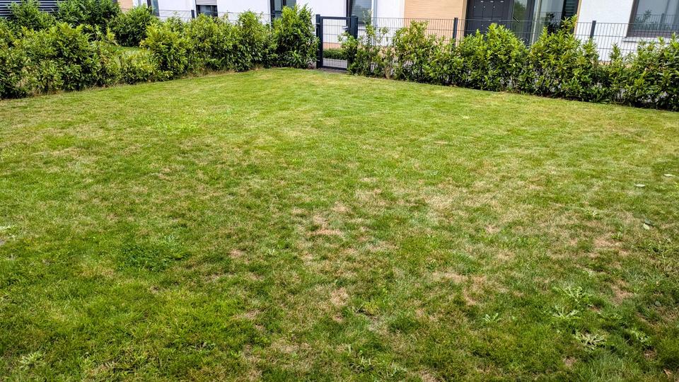 Erdgeschoßwohnung Gütersloh Isselhorst - 2 Zimmer, 67 m&sup2;, 720&euro; | Angebot:25049444