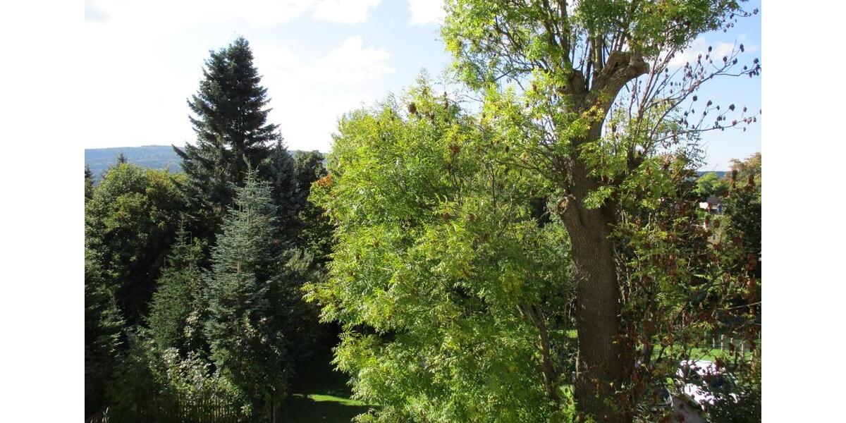 Etagenwohnung Olbernhau - 2 Zimmer, 56 m&sup2;, 297&euro; | Angebot:23002003