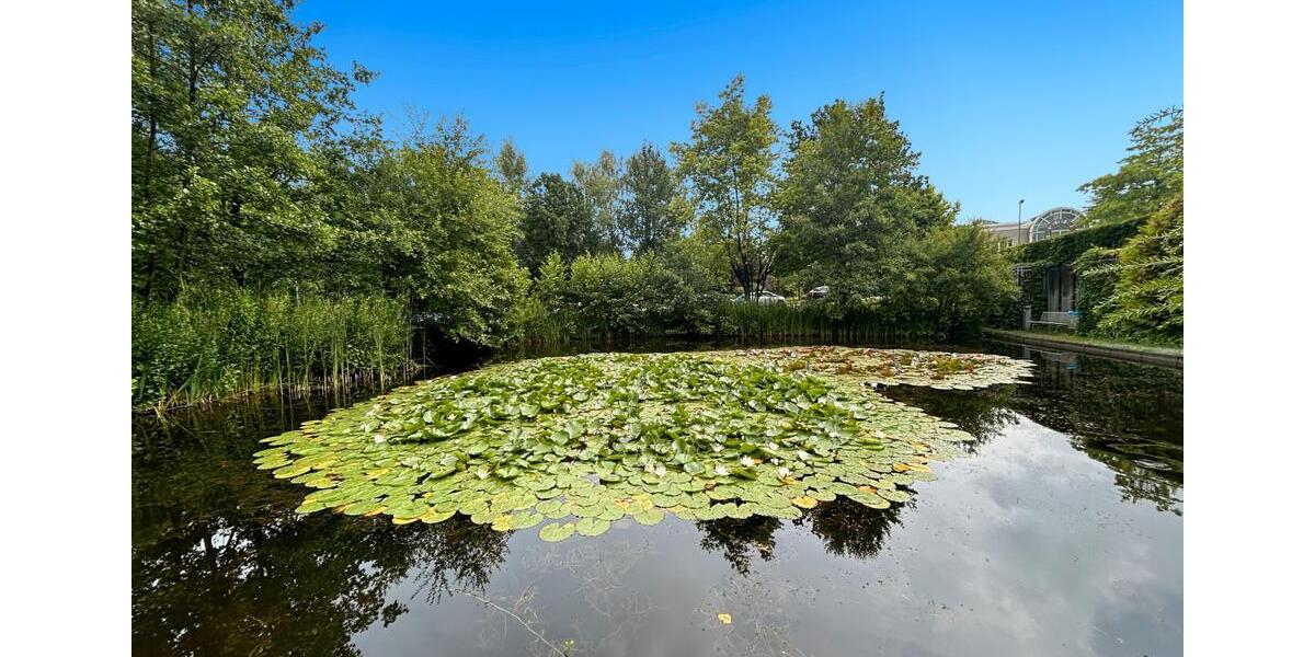 Gewerbeobjekt Essen Stadtbezirk II - 189&euro; | Angebot:22935388
