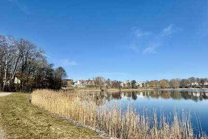 Wohnung zum Mieten in Neustrelitz 640 € 81.25 m² 3 zimmer