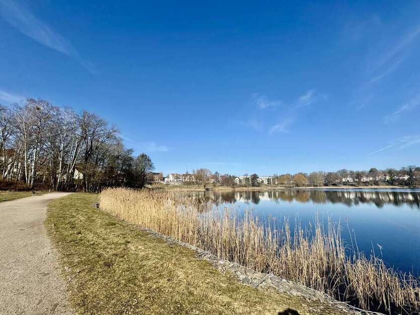 Wohnung zum Mieten in Neustrelitz 640 € 81.25 m² 3 zimmer