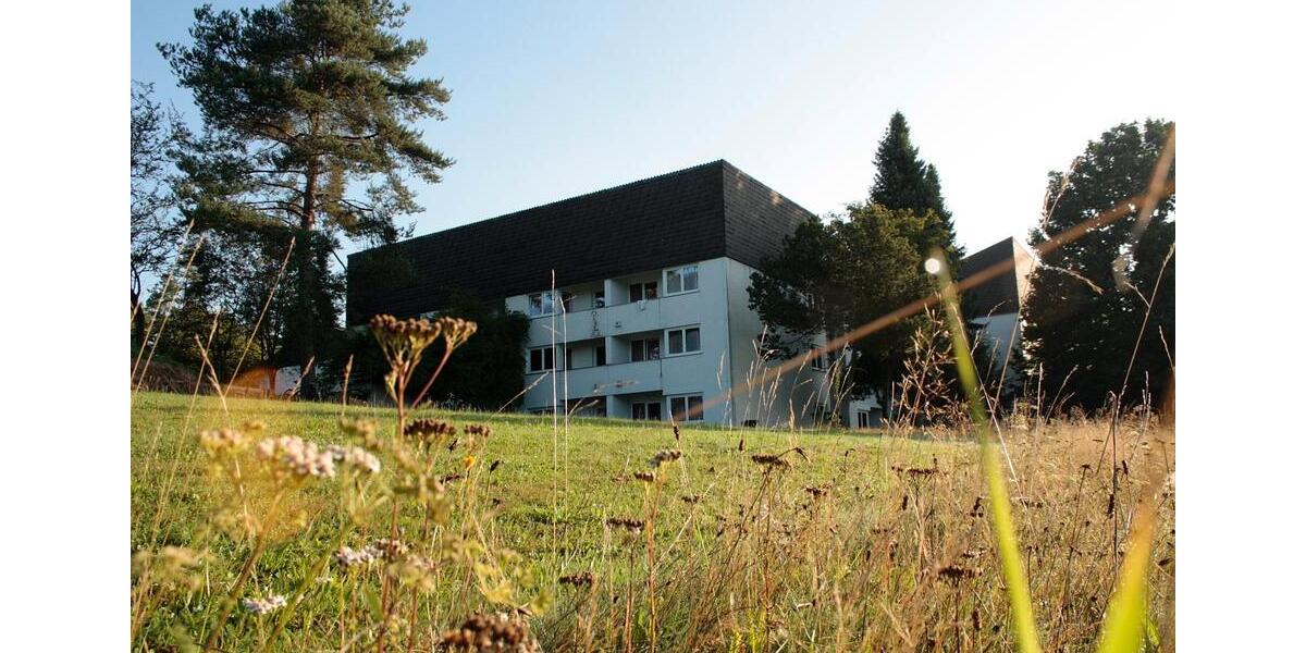 Erdgeschoßwohnung Immenreuth - 2 Zimmer, 42 m&sup2;, 450&euro; | Angebot:24613202