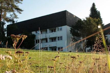 Wohnung Immenreuth - 2 Zimmer, 42 m&sup2;, 450&euro; | Angebot:24613202