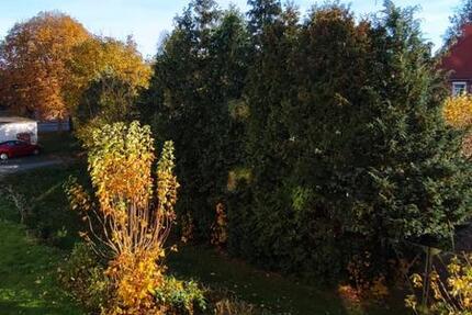 Sehr gepflegte 4-Zimmer Wohnung in toller Hausgemeinschaft zu vermieten 4 zimmer